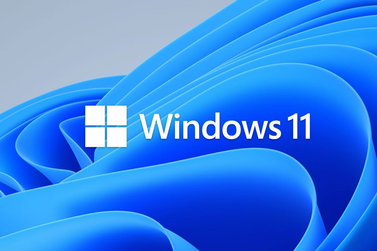 window-11